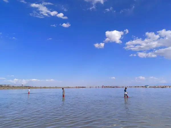 风景
